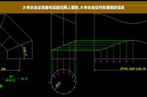 大专毕业证是哪年起能在网上查到,大专毕业证书在哪查到信息