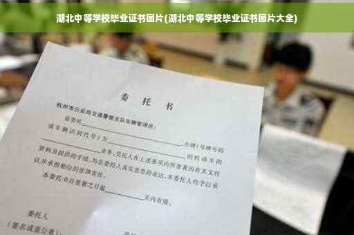湖北中等学校毕业证书图片(湖北中等学校毕业证书图片大全)