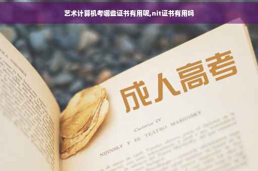 艺术计算机考哪些证书有用呢,nit证书有用吗