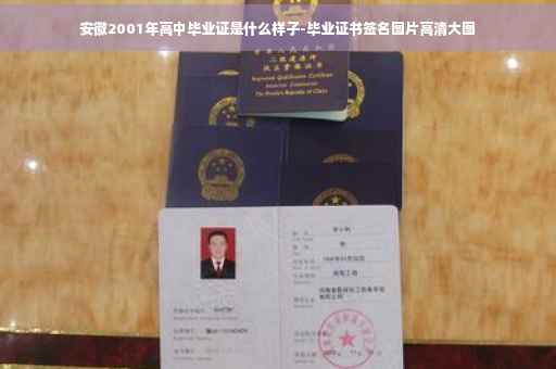 安徽2001年高中毕业证是什么样子-毕业证书签名图片高清大图