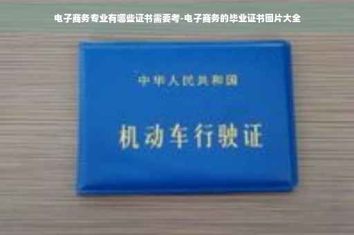 电子商务专业有哪些证书需要考-电子商务的毕业证书图片大全
