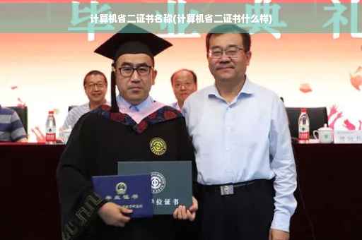 计算机省二证书名称(计算机省二证书什么样)