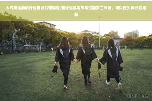 大专所需要的计算机证书有哪些,有计算机等级考试国家二级证，可以做为评职称用吗