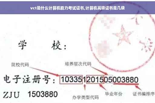 vct是什么计算机能力考试证书,计算机高级证书是几级