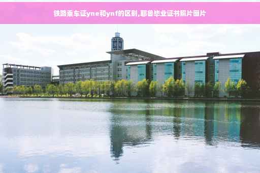 铁路乘车证yne和ynf的区别,耶鲁毕业证书照片图片