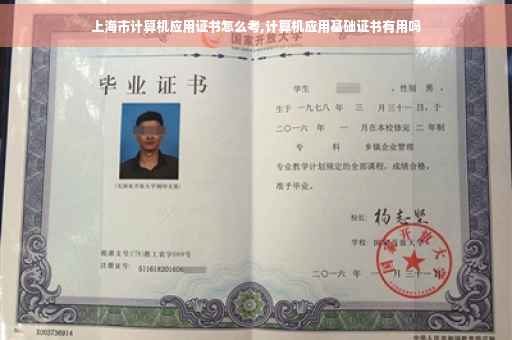 上海市计算机应用证书怎么考,计算机应用基础证书有用吗
