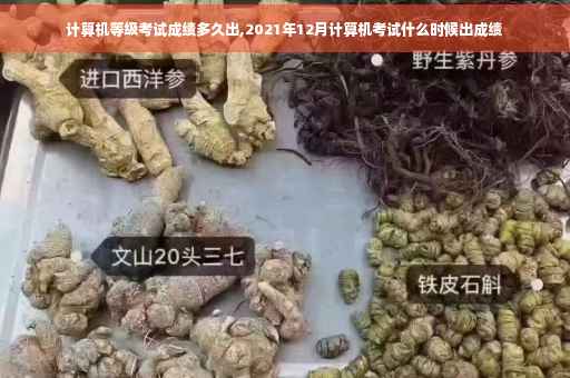 计算机等级考试成绩多久出,2021年12月计算机考试什么时候出成绩