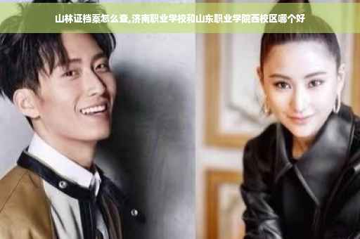 山林证档案怎么查,济南职业学校和山东职业学院西校区哪个好