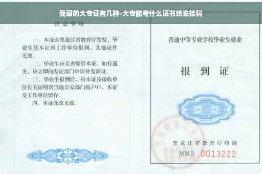 我国的大专证有几种-大专能考什么证书给来挂科