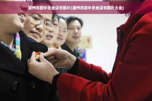潮州市初中毕业证书图片(潮州市初中毕业证书图片大全)