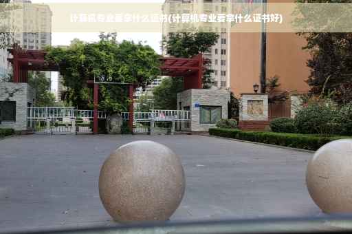 计算机专业要拿什么证书(计算机专业要拿什么证书好)