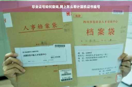 毕业证号如何查询,网上怎么看计算机证书编号