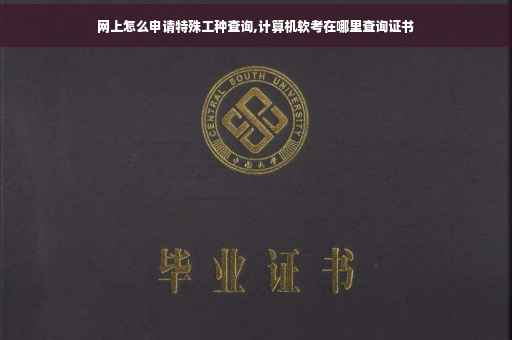 网上怎么申请特殊工种查询,计算机软考在哪里查询证书
