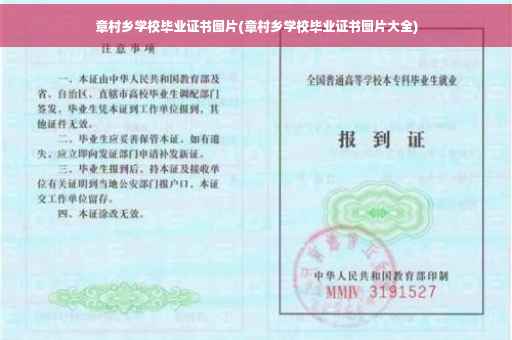 章村乡学校毕业证书图片(章村乡学校毕业证书图片大全)