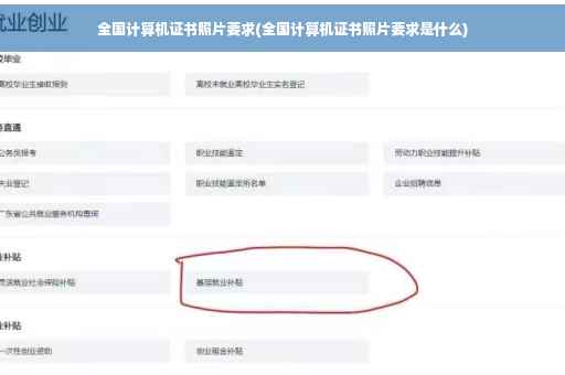 全国计算机证书照片要求(全国计算机证书照片要求是什么)