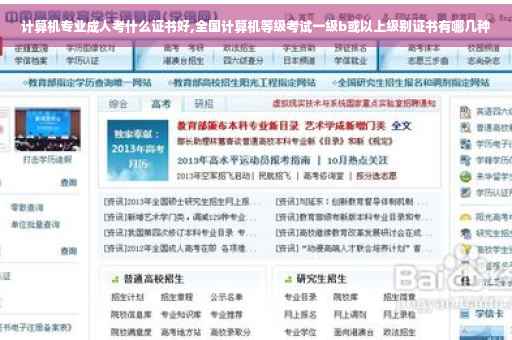 计算机专业成人考什么证书好,全国计算机等级考试一级b或以上级别证书有哪几种