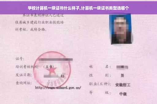 学校计算机一级证书什么样子,计算机一级证书类型选哪个