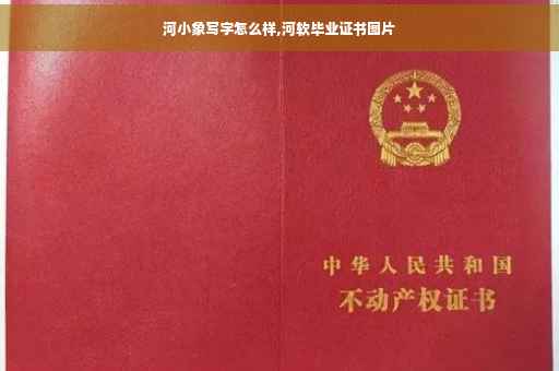 河小象写字怎么样,河软毕业证书图片 河小象写字怎么样,河软毕业证书图片