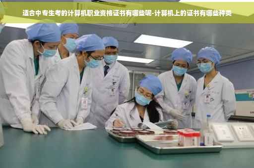 适合中专生考的计算机职业资格证书有哪些呢-计算机上的证书有哪些种类