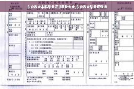 东北农大本科毕业证书图片大全,东北农大毕业证查询