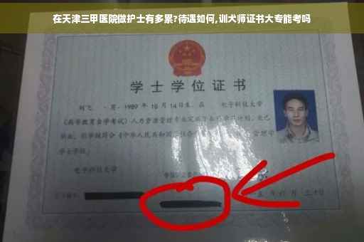 在天津三甲医院做护士有多累?待遇如何,训犬师证书大专能考吗