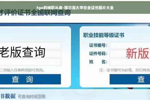 fgo的神职从者-图尔库大学毕业证书图片大全