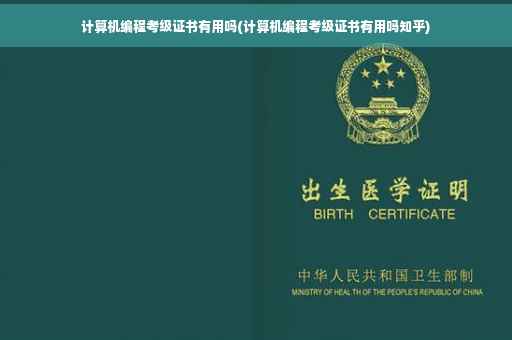 计算机编程考级证书有用吗(计算机编程考级证书有用吗知乎)