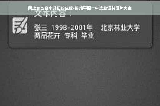 网上怎么查小升初的成绩-德州平原一中毕业证书图片大全 网上怎么查小升初的成绩-德州平原一中毕业证书图片大全