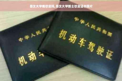 鲁汶大学难毕业吗,鲁汶大学博士毕业证书图片