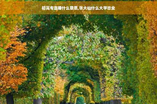 初高专直播什么意思,张大仙什么大学毕业