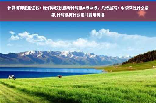 计算机有哪些证书？我们学校说要考计算机4级中级。几级最高？中级又是什么意思,计算机有什么证书要考英语