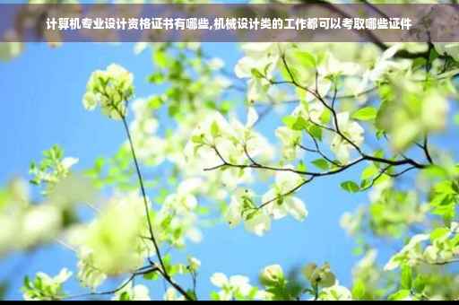 计算机专业设计资格证书有哪些,机械设计类的工作都可以考取哪些证件
