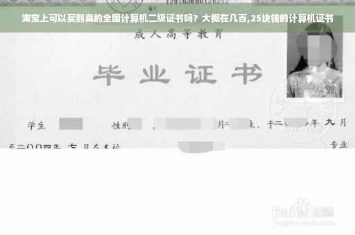 淘宝上可以买到真的全国计算机二级证书吗？大概在几百,25块钱的计算机证书