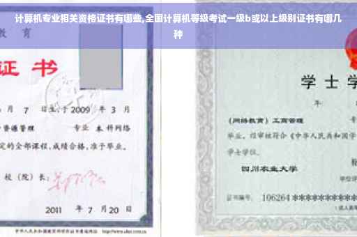 计算机专业相关资格证书有哪些,全国计算机等级考试一级b或以上级别证书有哪几种