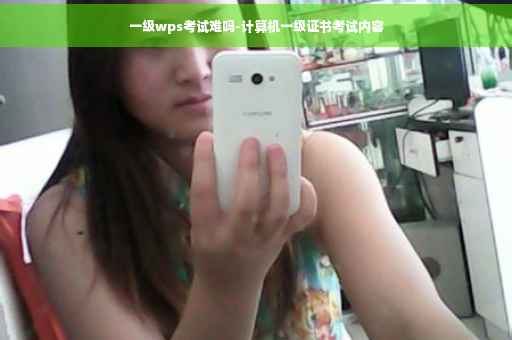 一级wps考试难吗-计算机一级证书考试内容