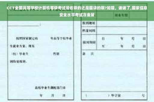 CCT全国高等学校计算机等级考试是省级的还是国级的啊?如题，谢谢了,国家信息安全水平考试含金量
