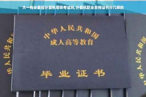 大一有必要报计算机等级考试吗,计算机职业资格证书分几级的