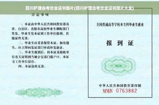 四川护理自考毕业证书图片(四川护理自考毕业证书图片大全)