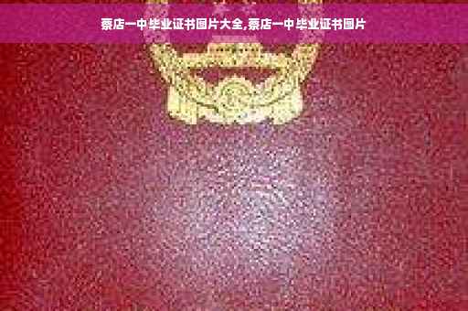蔡店一中毕业证书图片大全,蔡店一中毕业证书图片