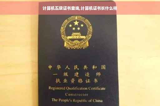 计算机五级证书查询,计算机证书长什么样
