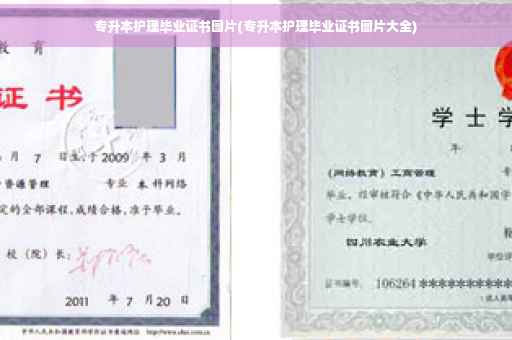 专升本护理毕业证书图片(专升本护理毕业证书图片大全)
