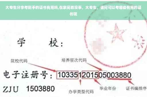 大专生分享考到手的证书有用吗,在家闲着没事，大专生，请问可以考哪些有用的证书呢