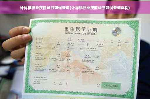 计算机职业技能证书如何查询(计算机职业技能证书如何查询真伪)