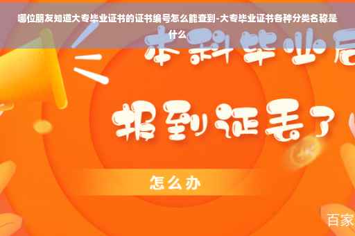 哪位朋友知道大专毕业证书的证书编号怎么能查到-大专毕业证书各种分类名称是什么