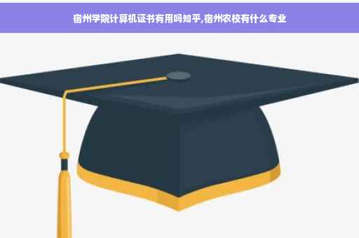 宿州学院计算机证书有用吗知乎,宿州农校有什么专业