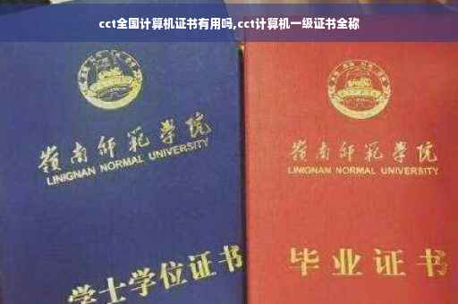 cct全国计算机证书有用吗,cct计算机一级证书全称