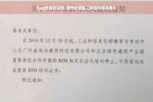 bap计算机证书-贵州计算机二级证书样本图片