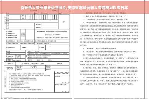 滁州电大专业毕业证书图片,安徽省哪些高职大专院校可以专升本