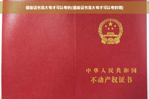 哪些证书是大专才可以考的(哪些证书是大专才可以考的呢)