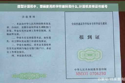 微型计算机中，普遍使用的字符编码是什么,计算机资格证书编号